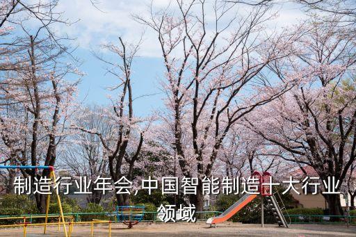 智能制造行业年会,中国智能制造十大行业领域