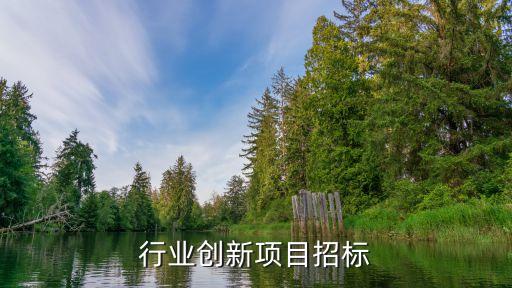 电力行业创新项目招标