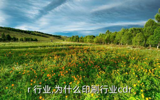 cdr 行业,为什么印刷行业cdr
