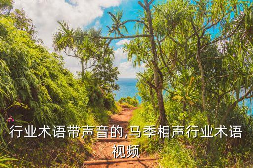 相声行业术语带声音的,马季相声行业术语视频
