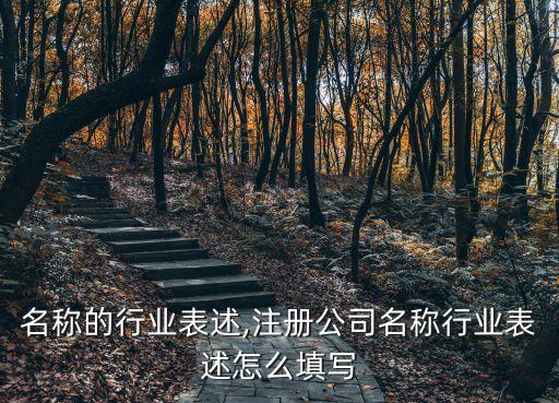 公司名称的行业表述,注册公司名称行业表述怎么填写