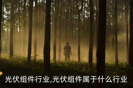 国内光伏组件行业,光伏组件属于什么行业