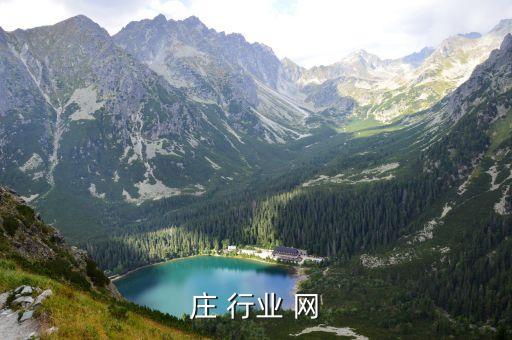石家庄 行业 网