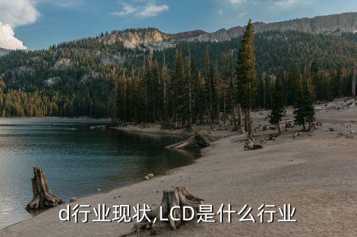 lcd行业现状,LCD是什么行业