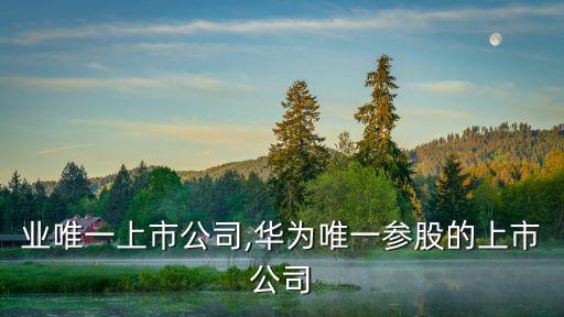 该行业唯一上市公司,华为唯一参股的上市公司