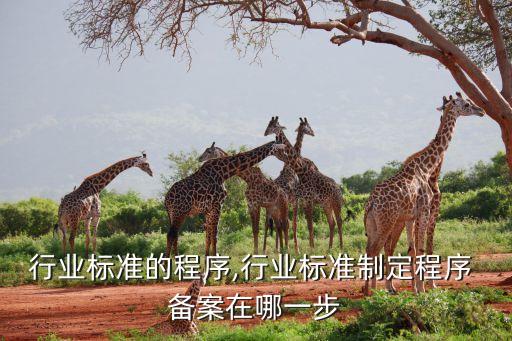 制定行业标准的程序,行业标准制定程序 备案在哪一步