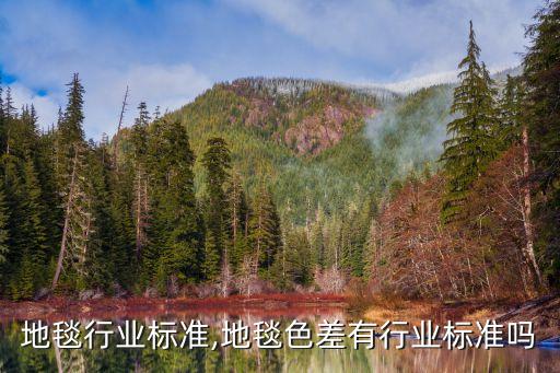 拼块地毯行业标准,地毯色差有行业标准吗