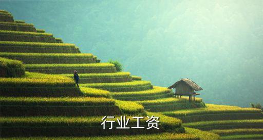 酒店行业工资