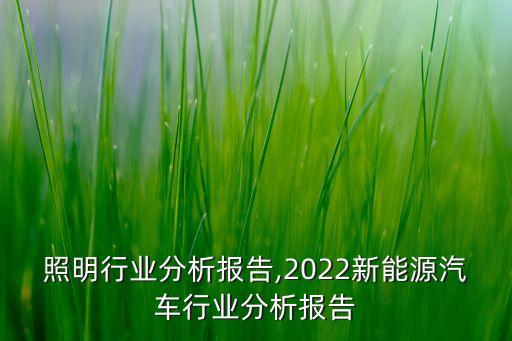 汽车照明行业分析报告,2022新能源汽车行业分析报告