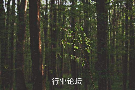 民爆行业论坛