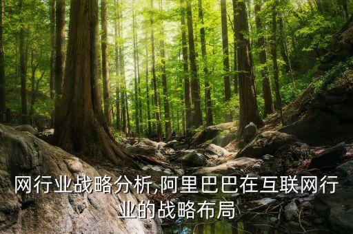 互联网行业战略分析,阿里巴巴在互联网行业的战略布局