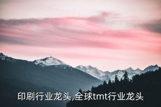 全球印刷行业龙头,全球tmt行业龙头