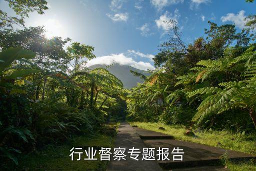 重点行业督察专题报告