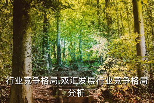 电路行业竞争格局,双汇发展行业竞争格局分析