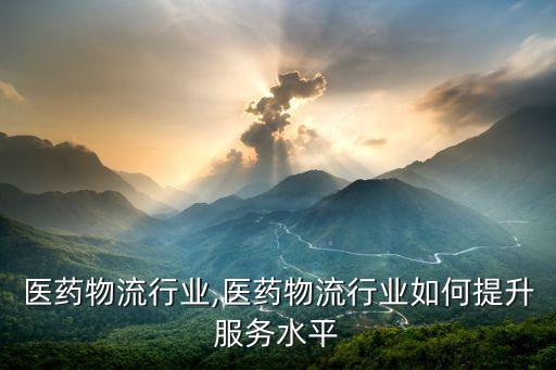 广西医药物流行业,医药物流行业如何提升服务水平?