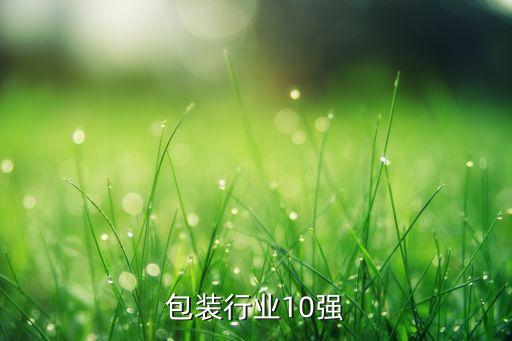 袋装包装行业10强