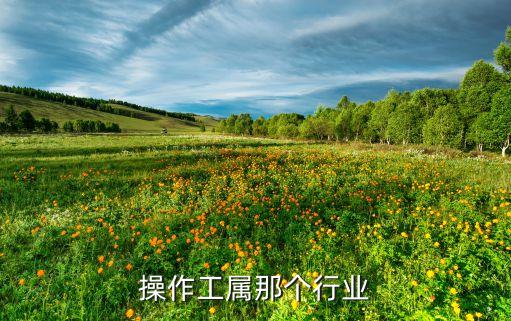 锅炉操作工属那个行业