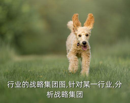 手机行业的战略集团图,针对某一行业,分析战略集团