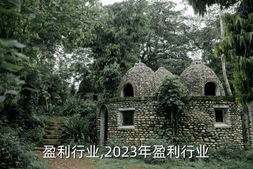福州盈利行业,2023年盈利行业