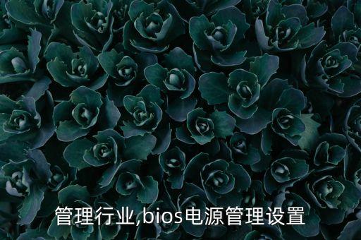电源管理行业,bios电源管理设置