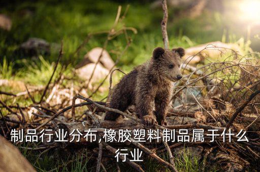 塑料制品行业分布,橡胶塑料制品属于什么行业