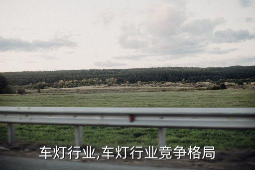国内车灯行业,车灯行业竞争格局