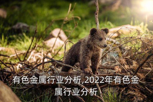 国内有色金属行业分析,2022年有色金属行业分析