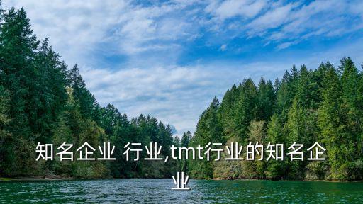 浙江知名企业 行业,tmt行业的知名企业
