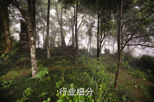 钢铁行业细分