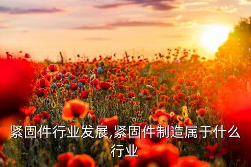 中国紧固件行业发展,紧固件制造属于什么行业