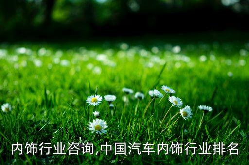 汽车内饰行业咨询,中国汽车内饰行业排名