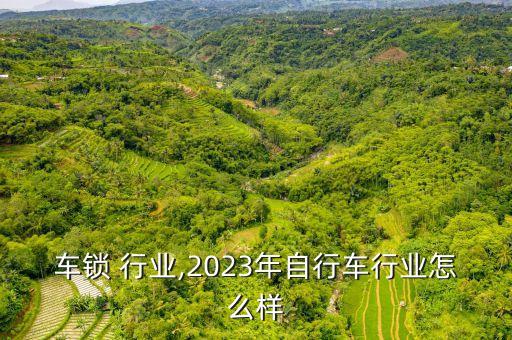 自行车锁 行业,2023年自行车行业怎么样