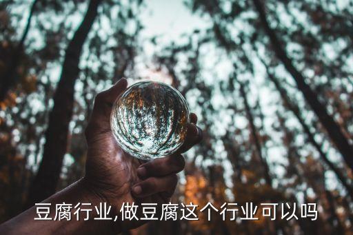 未来豆腐行业,做豆腐这个行业可以吗?