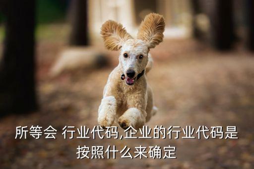 企业所等会 行业代码,企业的行业代码是按照什么来确定