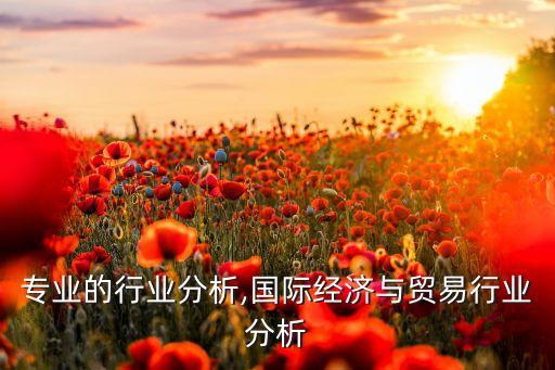 贸易专业的行业分析,国际经济与贸易行业分析