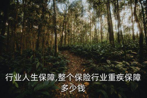 保险行业人生保障,整个保险行业重疾保障多少钱