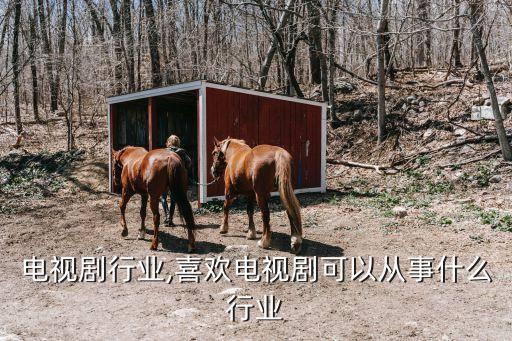 美国电视剧行业,喜欢电视剧可以从事什么行业