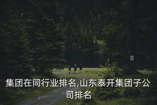 泰开集团在同行业排名,山东泰开集团子公司排名