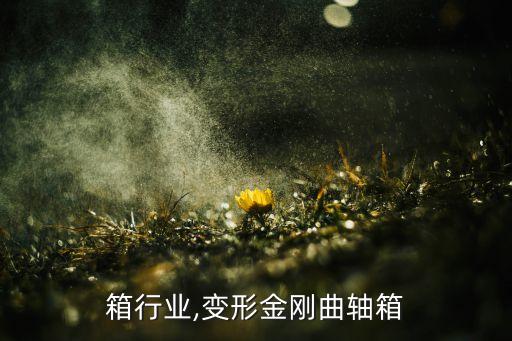 曲轴箱行业,变形金刚曲轴箱