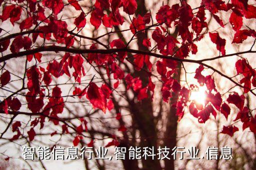上海智能信息行业,智能科技行业.信息