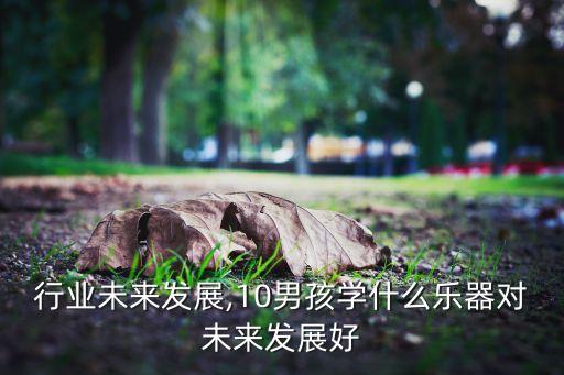 乐器行业未来发展,10男孩学什么乐器对未来发展好