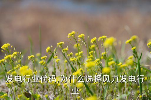 风力发电行业代码,为什么选择风力发电行业