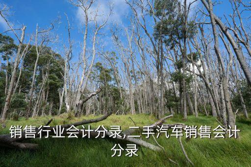 汽车销售行业会计分录,二手汽车销售会计分录