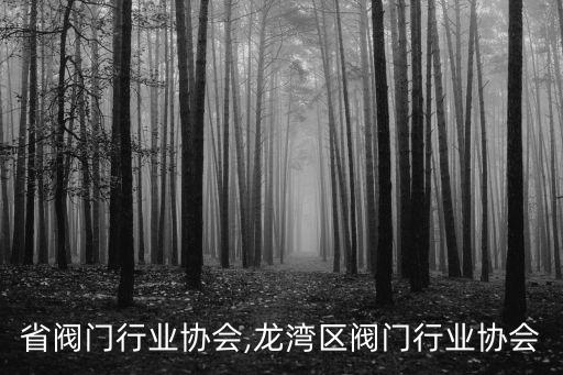贵州省阀门行业协会,龙湾区阀门行业协会