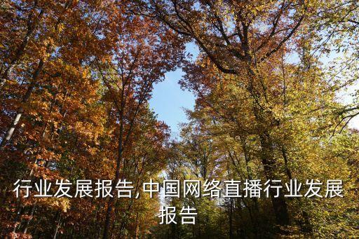 粮食行业发展报告,中国网络直播行业发展报告