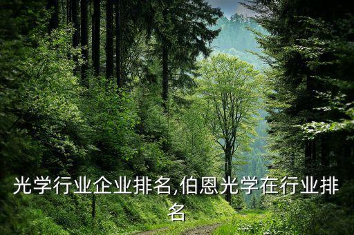 全球光学行业企业排名,伯恩光学在行业排名