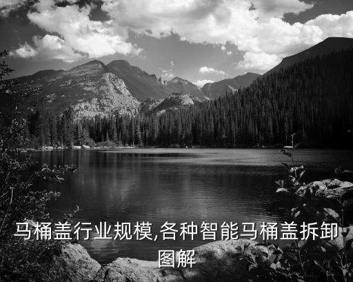 智能马桶盖行业规模,各种智能马桶盖拆卸图解