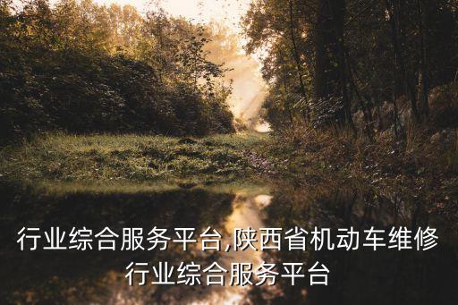 污泥行业综合服务平台,陕西省机动车维修行业综合服务平台