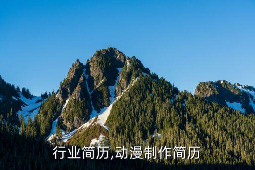 动漫行业简历,动漫制作简历