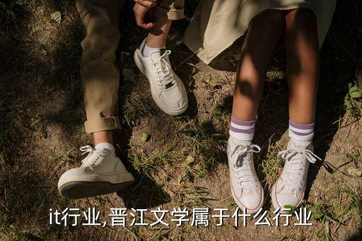 晋江it行业,晋江文学属于什么行业